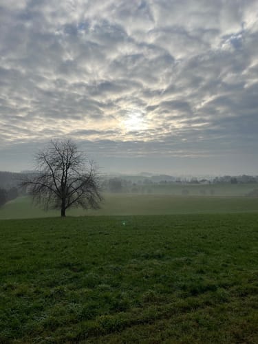 Bergischer Streifzug #20 Böllweg