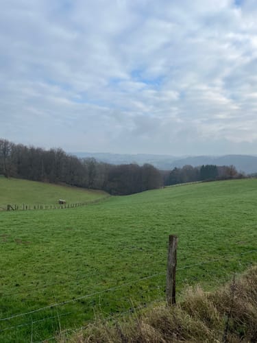 Bergischer Streifzug #20 Böllweg