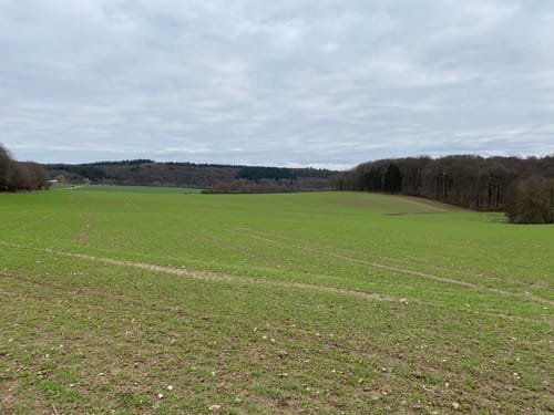 Bad Soden am Taunus nach Eppstein