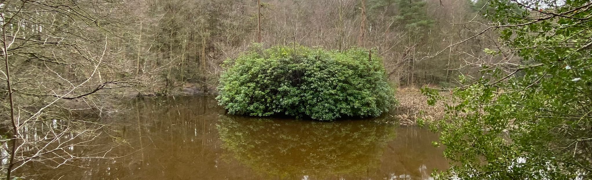 Chelwood Gate Circular, East Sussex, England 5 Reviews, Map AllTrails