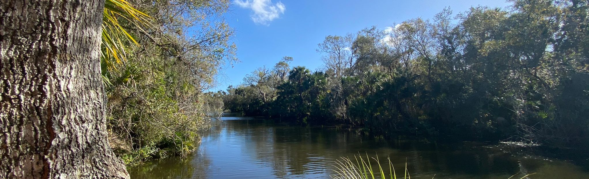 Ten Mile Creek