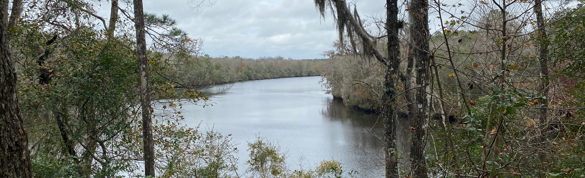 Black Creek Ravines Red Loop Florida AllTrails