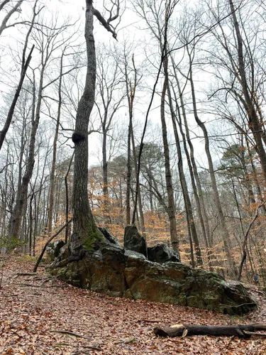 10 Best Hikes and Trails in William - EyJidWNrZXQiOiJhc3NldHMuYWxsdHJhaWxzLmNvbSIsImtleSI6InVwbG9hZHMvcGhvdG8vaW1hZ2UvMzI1MTMxMjMvNWE0MTkwMDBiYTI5MTFlNmYzMTMzNjUxZDJjMjFhMTEuanBnIiwiZWRpdHMiOnsidG9Gb3JtYXQiOiJ3ZWJwIiwicmVzaXplIjp7IndpZHRoIjo1MDAsImhlaWdodCI6NTAwLCJmaXQiOiJpbnNpZGUifSwicm90YXRlIjpudWxsLCJqcGVnIjp7InRyZWxsaXNRdWFudGlzYXRpb24iOnRydWUsIm92ZXJzaG9vdERlcmluZ2luZyI6dHJ1ZSwib3B0aW1pc2VTY2FucyI6dHJ1ZSwicXVhbnRpc2F0aW9uVGFibGUiOjN9fX0=