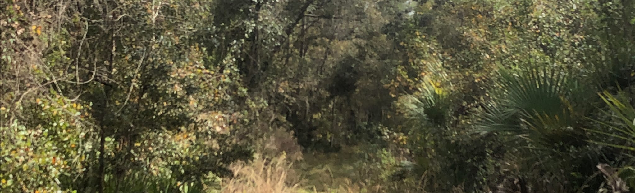 Chuluota East Loop Florida 63 - EyJidWNrZXQiOiJhc3NldHMuYWxsdHJhaWxzLmNvbSIsImtleSI6InVwbG9hZHMvcGhvdG8vaW1hZ2UvMzI1MTcwNjYvNjgxNjZhMDg2OTMzZmJkOTYwNDYxMWVlNjJmNDJlZjYuanBnIiwiZWRpdHMiOnsidG9Gb3JtYXQiOiJqcGVnIiwicmVzaXplIjp7IndpZHRoIjoyMDQ0LCJoZWlnaHQiOjYyNCwiZml0IjoiY292ZXIifSwicm90YXRlIjpudWxsLCJqcGVnIjp7InRyZWxsaXNRdWFudGlzYXRpb24iOnRydWUsIm92ZXJzaG9vdERlcmluZ2luZyI6dHJ1ZSwib3B0aW1pc2VTY2FucyI6dHJ1ZSwicXVhbnRpc2F0aW9uVGFibGUiOjN9fX0=