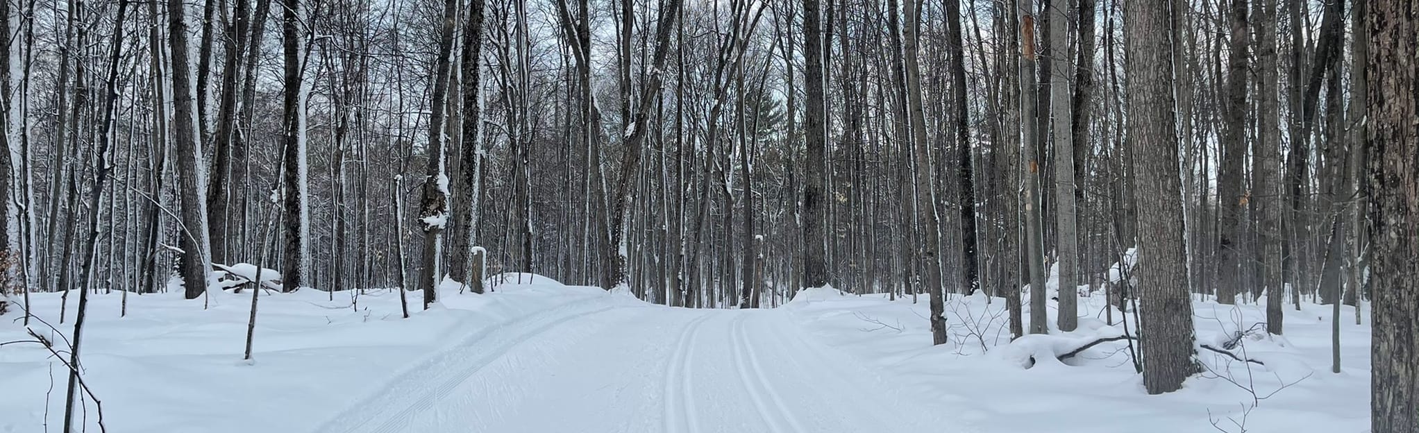 Hardwood Hills Mountain Bike Trails, Ontario, Canada 144 Reviews, Map AllTrails