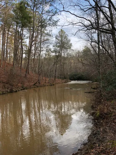 10 Best Horseback Riding Trails in Georgia | AllTrails