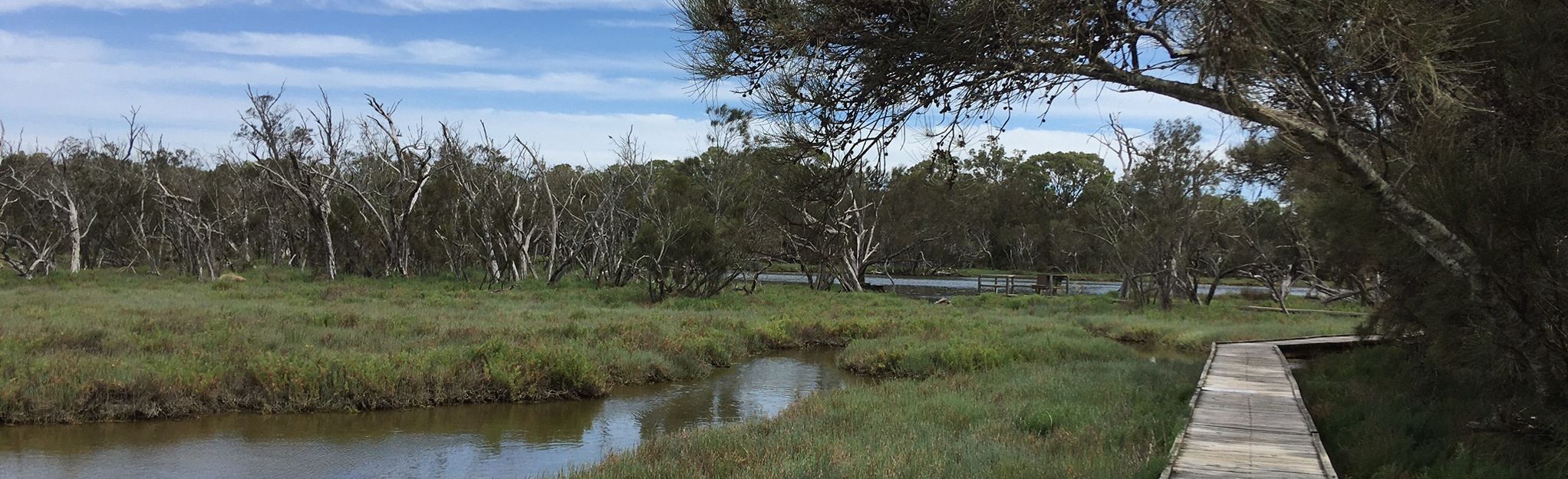 Lake Goegrup Boardwalk: 4 Reviews, Map - Western Australia, Australia ...