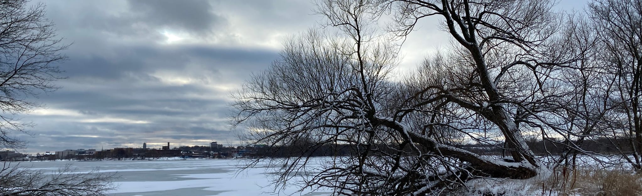 Belle Island Trail Ontario, CanadaN AllTrails
