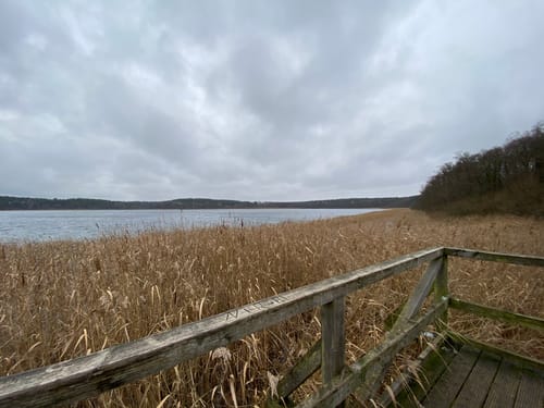Rund um den Feisnecksee
