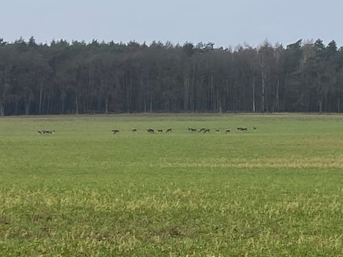 Rund um Liebenberg