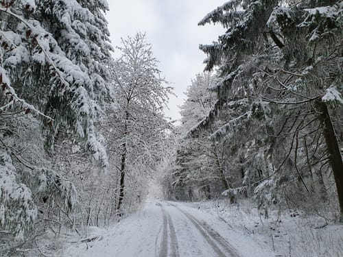 Am Füsselberg