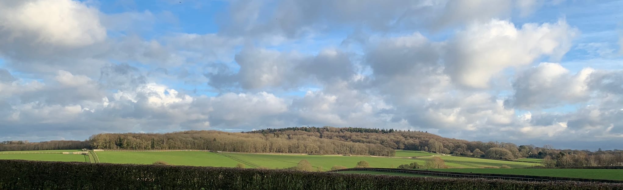 The Horns at Crazies Hill to Warren Row Circular, Berkshire, England