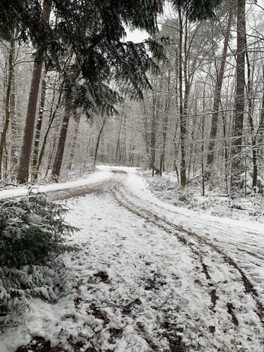 NATO-Weg zum Steinhau
