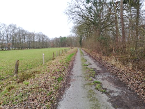 Kiwittsheider Rundweg
