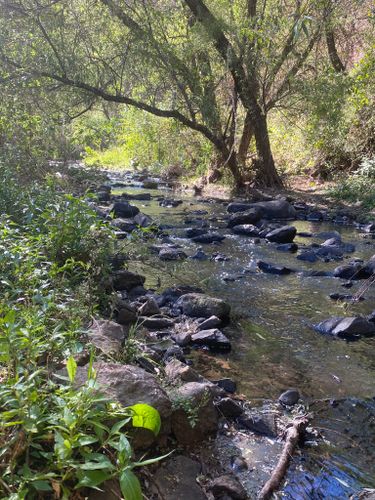 I 10 migliori sentieri nei boschi in Michoacán per il 2023 | AllTrails