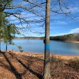 Clear Creek Bicycle Trail Alabama - EyJidWNrZXQiOiJhc3NldHMuYWxsdHJhaWxzLmNvbSIsImtleSI6InVwbG9hZHMvcGhvdG8vaW1hZ2UvMzI1NzI5NzYvOWM5MmNhNDBkYzA5MjMyOWM0ZjhhZDBjNDY5OTVlZGQuanBnIiwiZWRpdHMiOnsidG9Gb3JtYXQiOiJqcGVnIiwicmVzaXplIjp7IndpZHRoIjoxNjAsImhlaWdodCI6MTYwLCJmaXQiOiJjb3ZlciJ9LCJyb3RhdGUiOm51bGwsImpwZWciOnsidHJlbGxpc1F1YW50aXNhdGlvbiI6dHJ1ZSwib3ZlcnNob290RGVyaW5naW5nIjp0cnVlLCJvcHRpbWlzZVNjYW5zIjp0cnVlLCJxdWFudGlzYXRpb25UYWJsZSI6M319fQ==