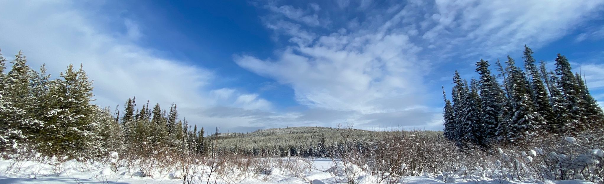 Snowbound and Snowy Vista Snowshoe Loop, British Columbia, Canada - 10 ...