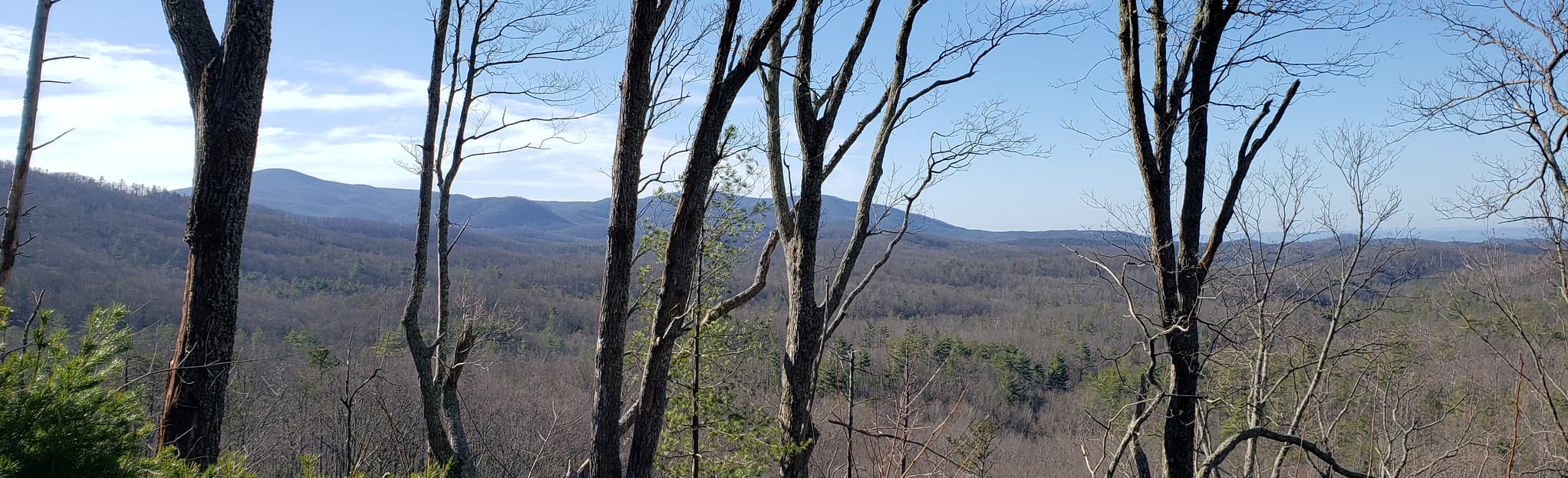 East Cowpen Trail 15 Reviews, Map AllTrails