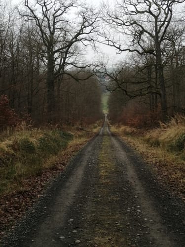Holzhausen: Steinköhlerspfad