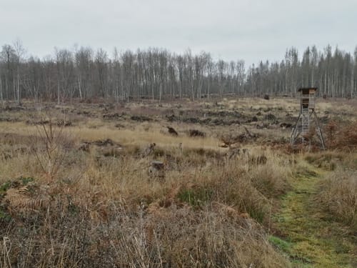 Holzhausen: Steinköhlerspfad