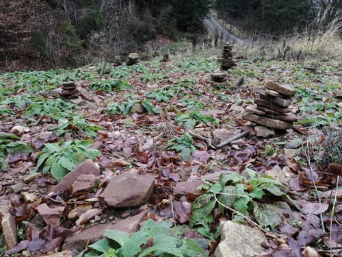 Holzhausen: Steinköhlerspfad