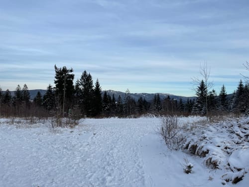 Goldsteig Zuweg Nr.15: Arrach-Kötztinger Hütte