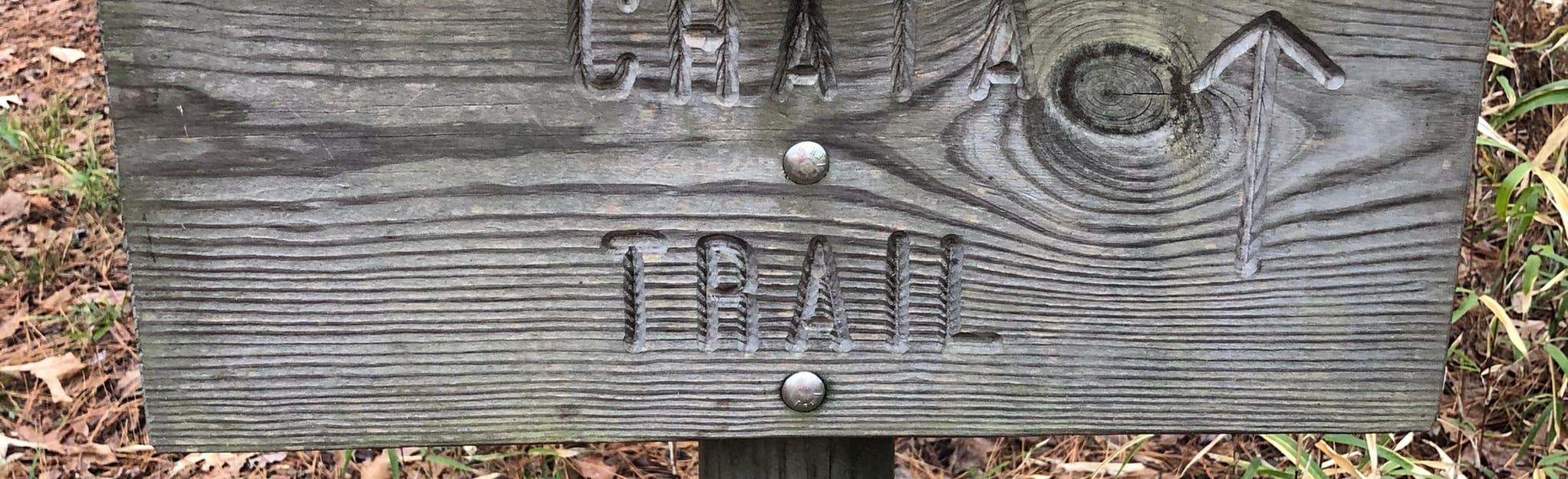 Chata Trail, Mississippi - 11 Reviews, Map | AllTrails