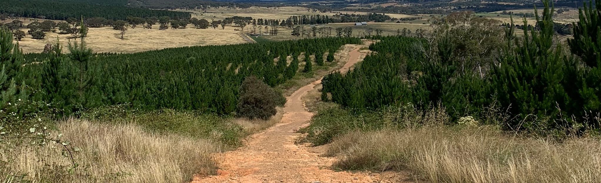 Charcoal Kiln and Coppermine Road Loop, Australian Capital Territory