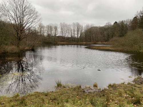 Runde in den Fröruper Bergen