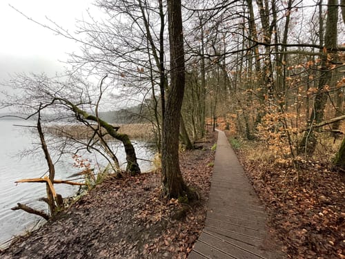 Um den Liepnitzsee