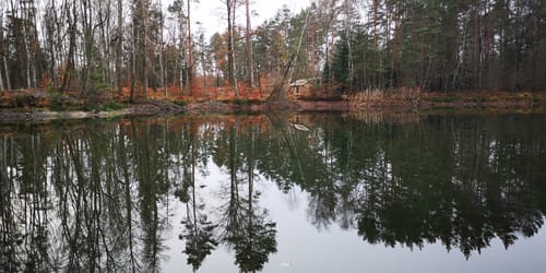 Ab Dahlen durch die Dahlener Heide