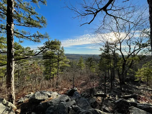 Hawn state shop park hiking trails