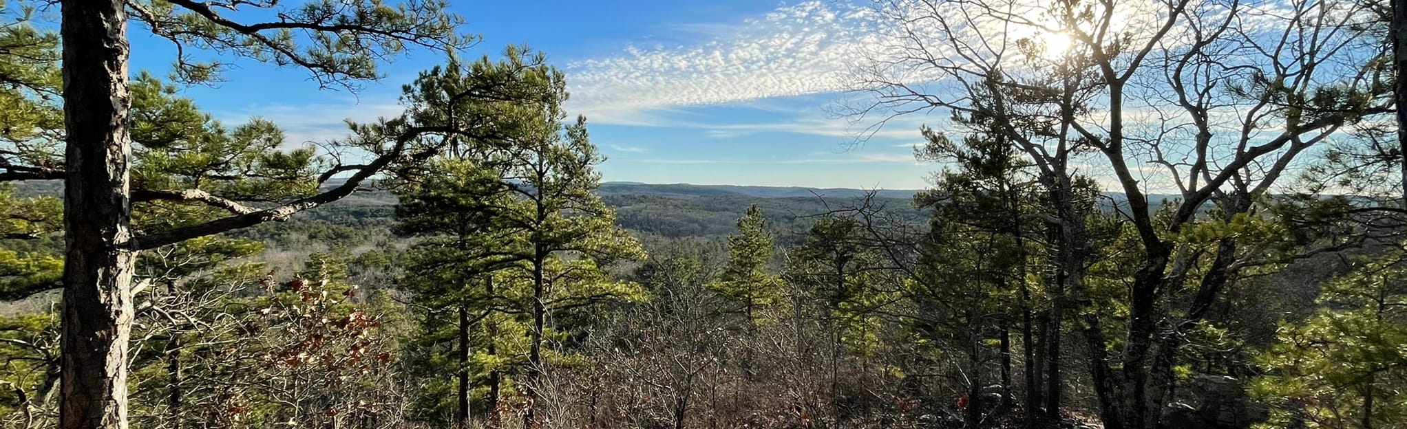White Oaks Trail and Whispering Pines Trail Loop, Missouri 196