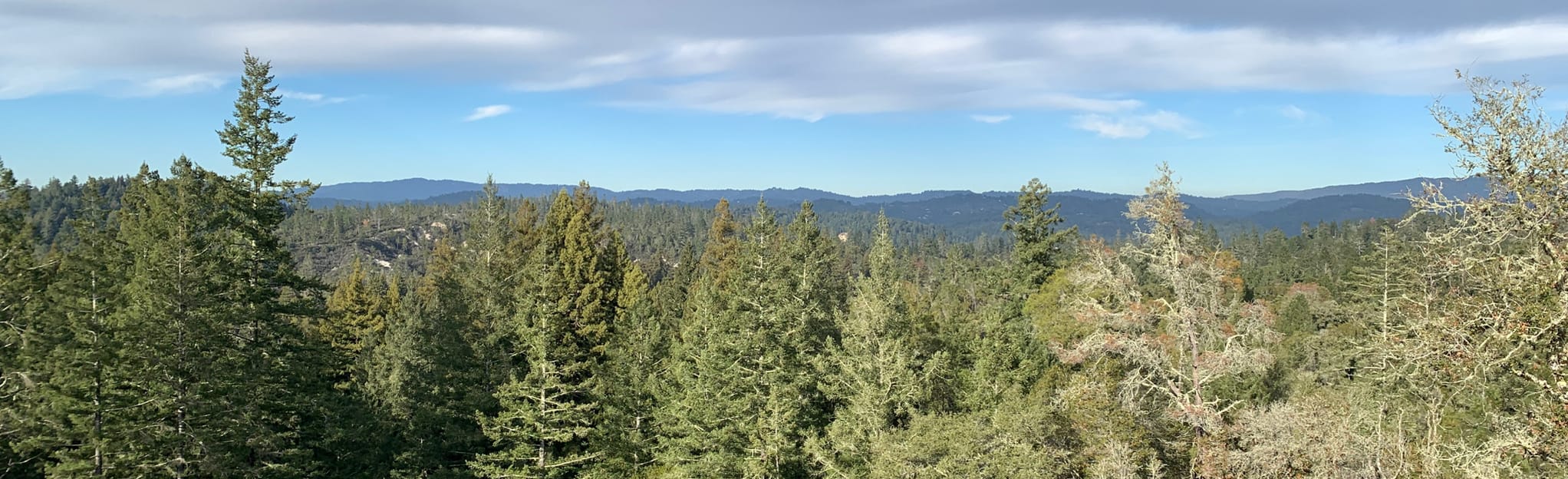 Graham Hill and Powder Mill Trail Loop 496 fotos Califórnia AllTrails