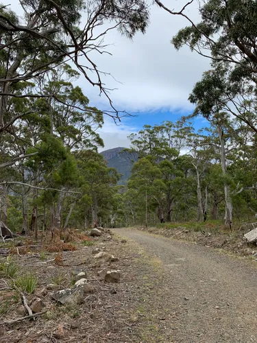 Best Hikes and Trails in Knocklofty Reserve | AllTrails