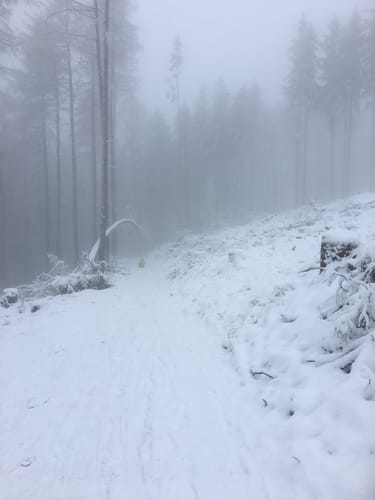 Rundwanderweg Neunkirchen 2