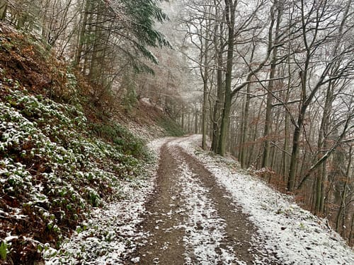 Eulenweg (Adenau)