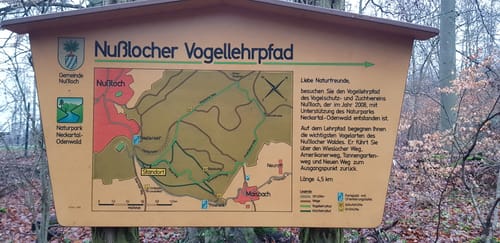 Um den Hirschberg