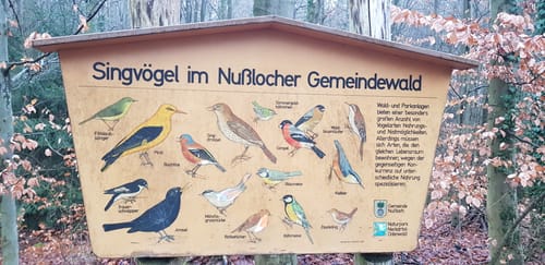 Um den Hirschberg