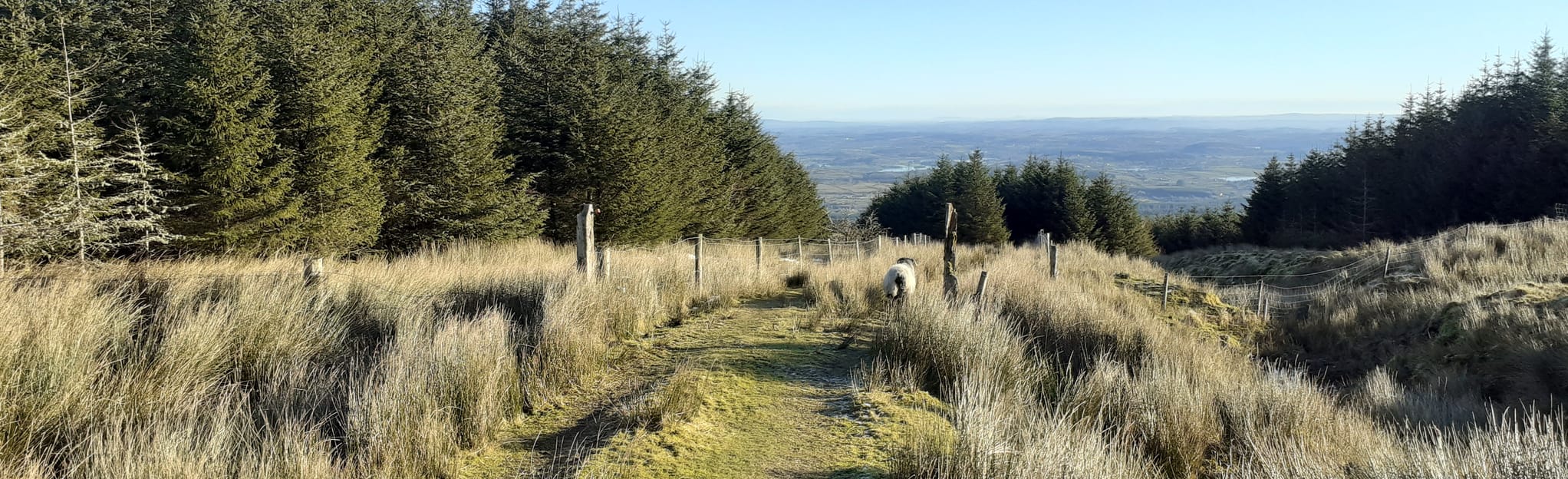 Iron Mountain Loop Lúb Sliabh an Iarainn, County Leitrim, Ireland 8