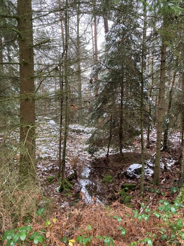 Rabelsdorf - Geißstein