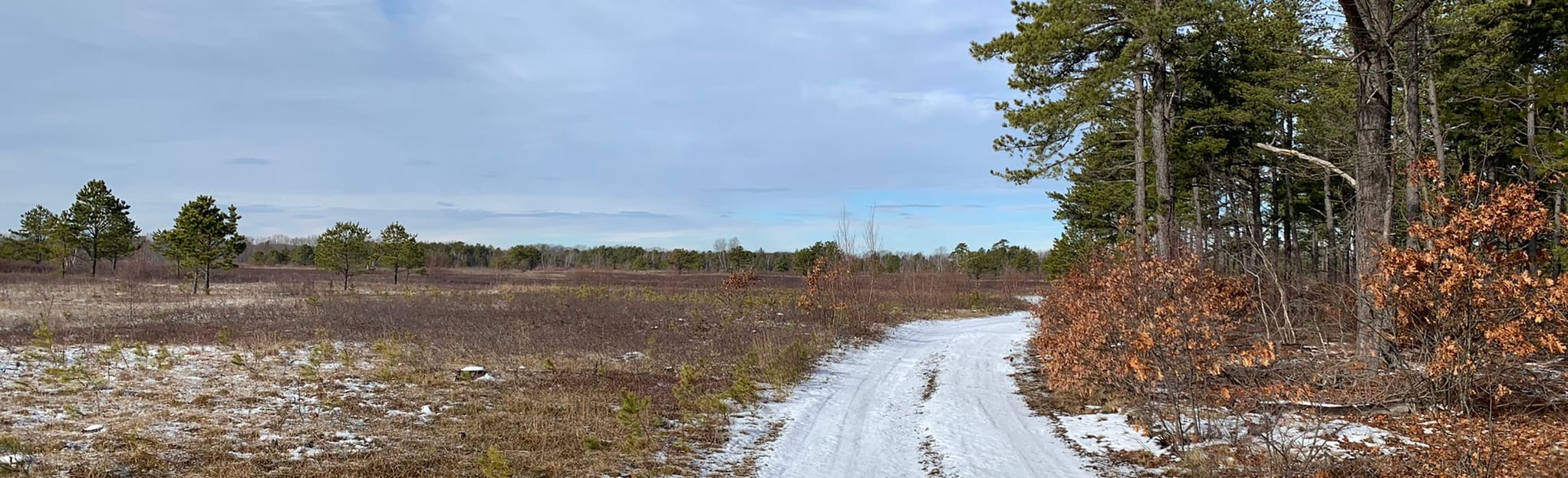 Kennebunk Plains Extended Loop 33 Reviews, Map Maine AllTrails