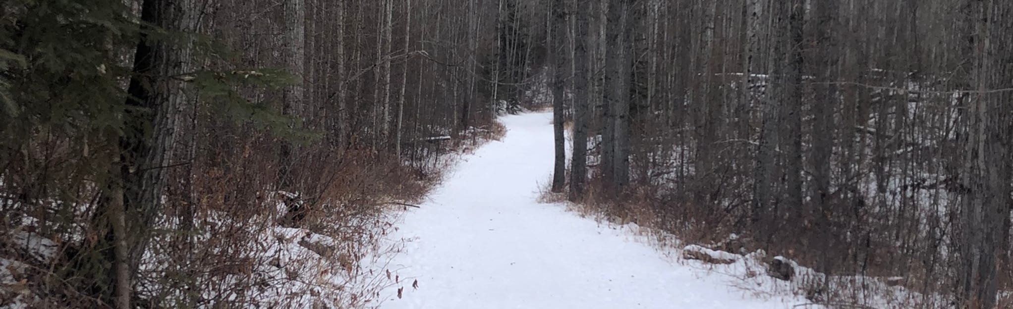 Athabasca University Loop Alberta, Canada AllTrails