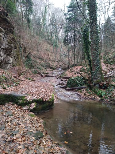 Elena Berkova erotikasi