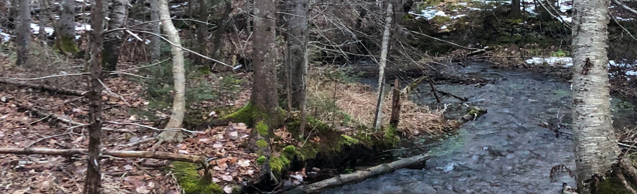 Fish Hatchery Trail 7 Reviews, Map Ontario, Canada AllTrails