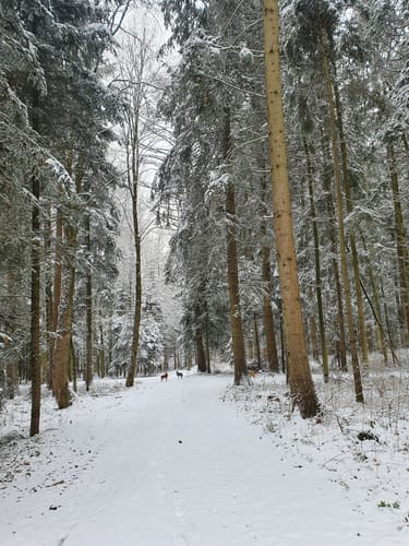 Erdweg und Sulzemoos
