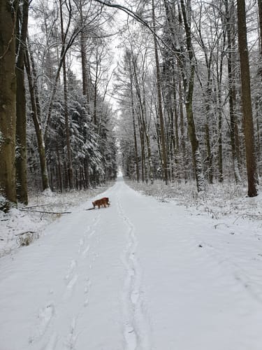 Erdweg und Sulzemoos