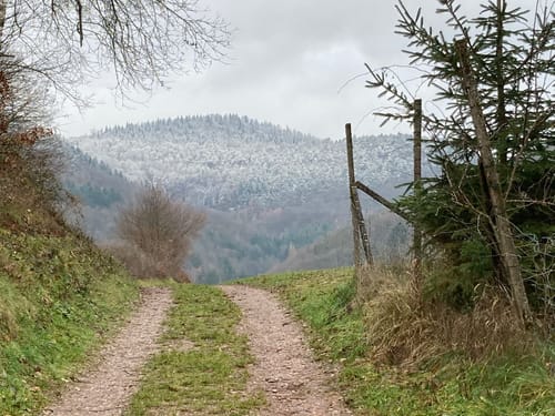Eußerthal Runde