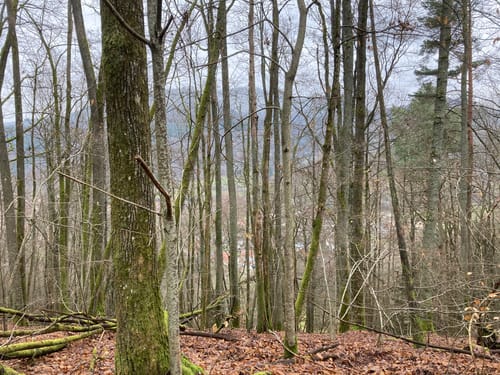 Eußerthal Runde