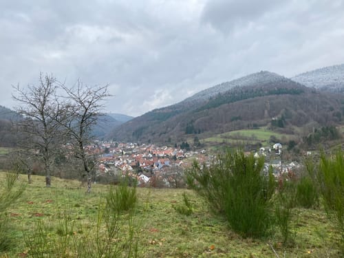 Pfälzer Weinsteig Etappe 8: Dernbach - Annweiler